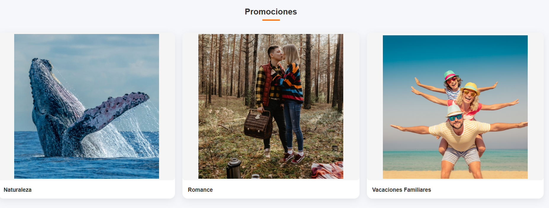 Captura del sistema